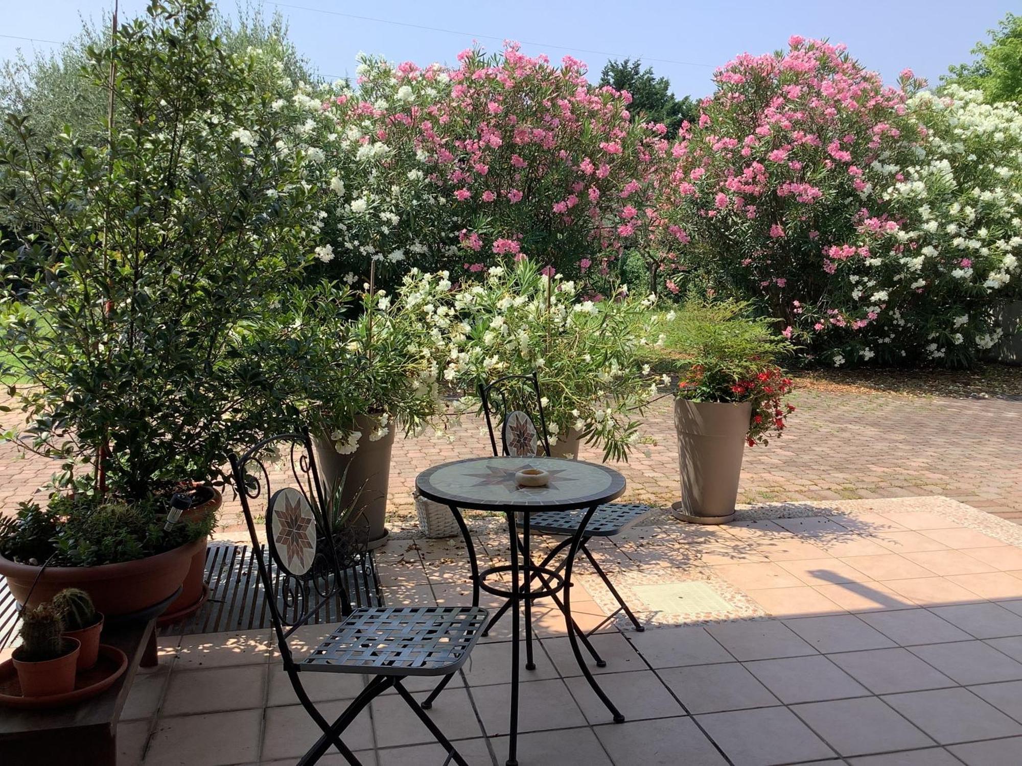 Edyshome Peschiera del Garda Kültér fotó